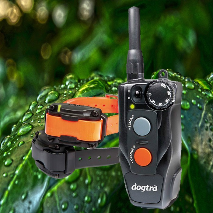 Dogtra 612C For 2 Dogs