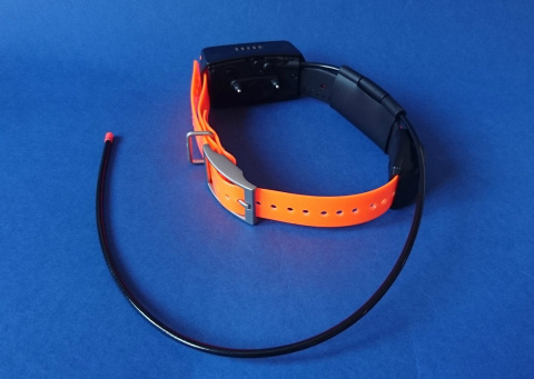 Garmin TT15 Polish version Garmin TT15 Polish version