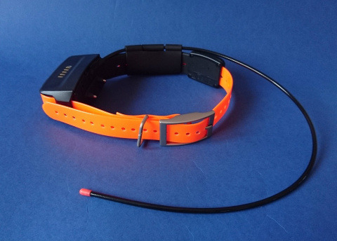 Garmin TT15 Polish version Garmin TT15 Polish version