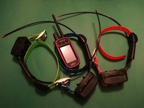 Alpha 100 z Garmin TT 15 Polish version Alpha 100 z Garmin TT 15 Polish version