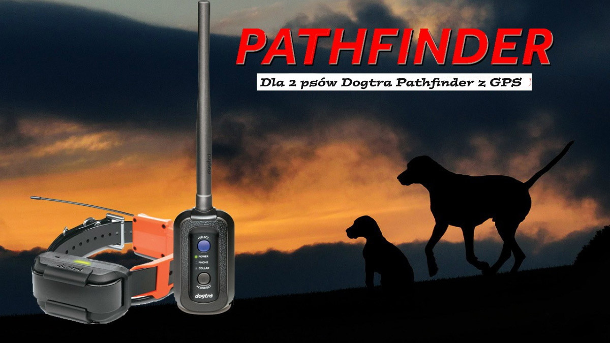 For 2 dogs Dogtra Pathfinder GPS