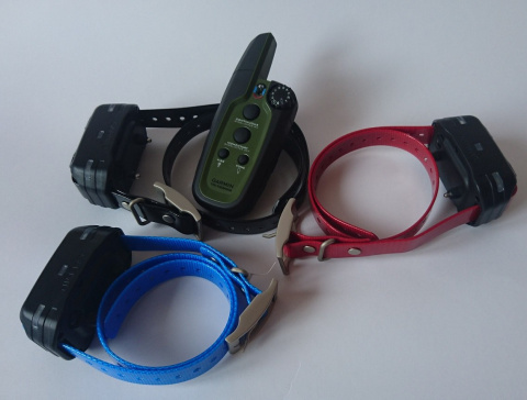 dog collar Garmin Sport PRO for 3 dogs