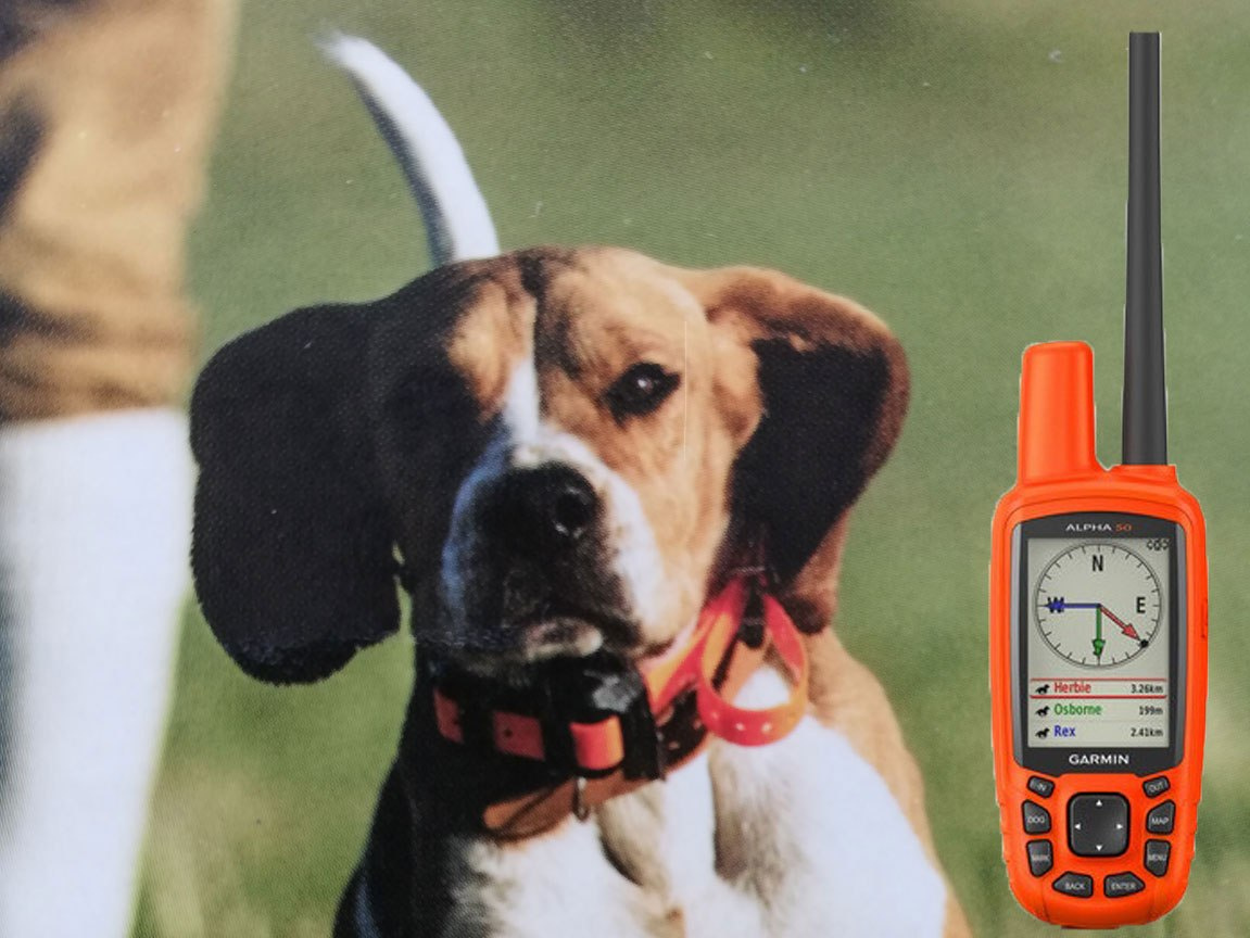 Garmin Alpha 50 T5 Polish version Garmin Alpha 50 T5 Polish version