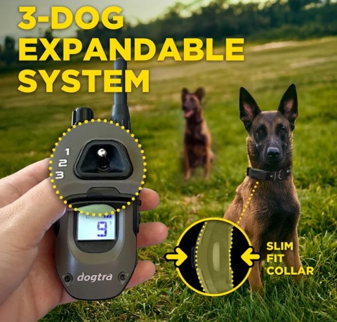 Obroża elektryczna Dogtra ARC-X Stymulacja Sygnał dźwiękowy Wibracja Światło lokalizacji Obroża elektryczna Dogtra ARC-X Stymulacja Sygnał dźwiękowy Wibracja Światło lokalizacji