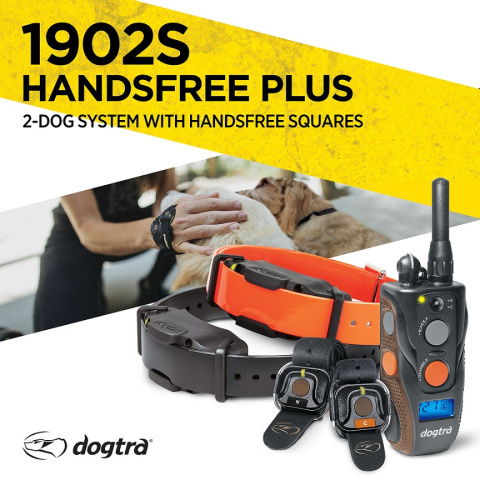 Dogtra ARC 1902S For 2 Dogs